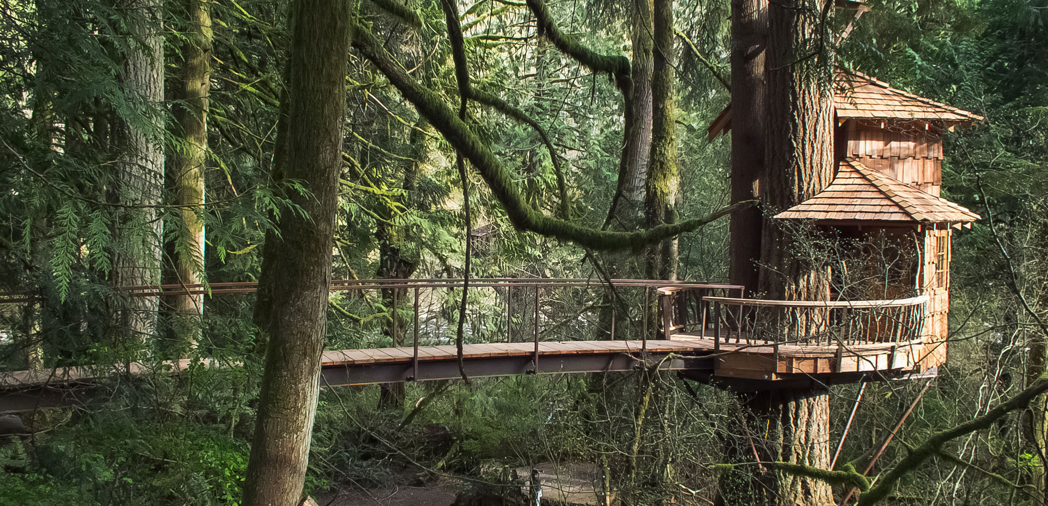Lodging at  Treehouse Point in Fall City Washington