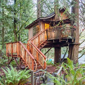 Upper Pond Treehouse at TreeHouse Point